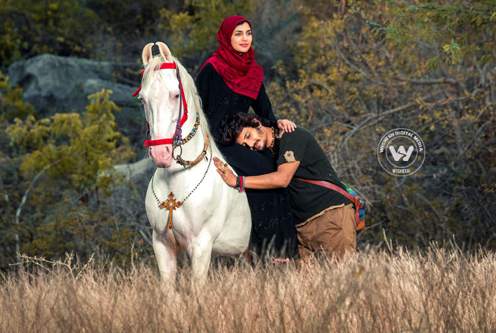 /media/k2/galleries/73596/Gypsy-03