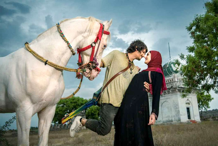 /media/k2/galleries/73596/Gypsy-06