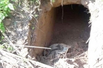 Tunnel discovered in Jammu and Kashmir, BSF found 20 meter tunnel from Pakistan in Sambha J&K, bsf found 20 meter tunnel from pakistan in sambha j k, Sambha