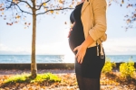 pregnancy, pregnancy and parenting, 3 in 5 pregnancy related deaths in the united states can be prevented cdc report, Heart muscle