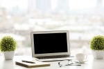 ecology, purify, a plant in your office can help in preventing sick days says experts, Figs