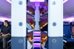 Air New Zealand Bunk Beds latest, Air New Zealand Bunk Beds 2026, air new zealand introduces bunk beds in economy flights, Begins
