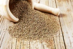 Carom Seeds news, Ajwain health advantages, benefits of adding carom seeds to your diet, Weight loss