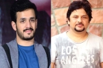 Akhil Akkineni and Surendar Reddy, Surendar Reddy, akhil akkineni and surendar reddy joins hands, Coronavirus lockdown
