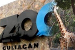 nurseries and aquariums, Culiacan Zoo, animals abandoned during coronavirus lockdown are rescued by a zoo in mexico, Mamma