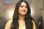 Anushka latest updates, Anushka next movie, anushka s next project updates, Anushka shetty