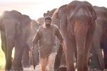 Aranya​ review, Aranya​ movie review, aranya movie review rating story cast and crew, Elephants