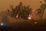wildlife, file blazes, australia fires warnings of huge blazes ahead despite raining, Global warming