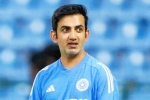 Gautam Gambhir breaking news, Gautam Gambhir latest breaking, bcci to sack gautam gambhir, New zealand