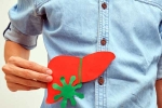 Liver Health medicines, Liver Health, basic tests for your liver health, Meta