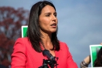 tulsi gabbard wedding, tulsi gabbard surfing, being targeted for being a hindu claims tulsi gabbard, 2014 elections