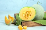 Muskmelon Seeds rich in, Muskmelon Seeds tips, health benefits of muskmelon seeds, Oestrogen