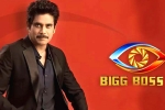 Bigg Boss 5 on Star MAA, Bigg Boss 5 announcement, bigg boss 5 to commence from september 5th, Bigg boss telugu