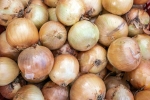 Black Fungus on Onions for health, Black Fungus on Onions for health, black fungus on onions sparks discussion, Bags Black Fungus on Onions for health, Black Fungus on Onions for health, black fungus on onions sparks discussion, Bags