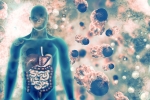 lungs, coronavirus, covid 19 can affect almost all organs experts at aiims, Neurology