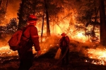 California, California Department of Forestry and Fire Protection, california wildfires damage in 2018 worth over 2 6bn, Gusty winds