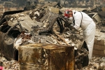 , , california wildfire toll rises to 59 130 still missing, Dna testing