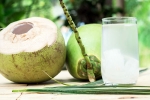 Coconut Water, Coconut Water experts, how long coconut water lasts once opened, Potassium