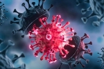 USA Coronavirus rise, USA Coronavirus breaking news, delta variant makes usa tensed again, Astrazeneca vaccine