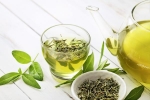 Green Tea intake every day, Green Tea latest breaking, what happens when you drink green tea every day, Inflammation Green Tea intake every day, Green Tea latest breaking, what happens when you drink green tea every day, Inflammation