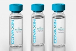 EUL for Covaxin by WHO, EUL for Covaxin by WHO, who delays the eul decision on covaxin, Covaxin