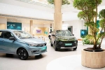 Car Sales September 2024 latest breaking, EV car sales September 2024, electric car and suv sales reach lowest in september 2024, Mg windsor ev