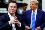 Elon Musk and Donald Trump breaking, Elon Musk and Donald Trump support, elon musk s big bet on donald trump, American elections 2024