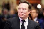 Elon Musk Epstein Files new updates, Elon Musk Epstein Files breaking, elon musk named in new epstein files, Elon musk Elon Musk Epstein Files new updates, Elon Musk Epstein Files breaking, elon musk named in new epstein files, Elon musk