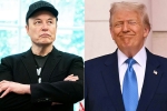Elon Musk Vs Donald Trump updates, Elon Musk Vs Donald Trump updates, elon musk s latest attack on donald trump, Elon musk