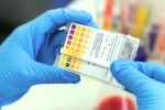 CRISPR, genome, everything about feluda a low cost covid 19 test in india, Young mind