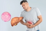Fatty Liver breaking, Fatty Liver breaking, fatty liver can be reversed in just one month, Pranayama