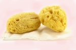 menstrual sponge australia, where to buy period sponges, gynecologist warns women against using sea sponges as reusable nurturing alternatives to tampons, Celine