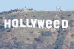 Hollywood sign vandalized, hollyweed prank, hollywood changed to hollyweed, Bayarea news