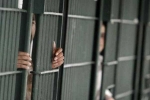Indians, customs enforcement, over 2 300 indians in u s jails for illegal crossing of border report, Punjabis