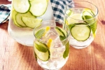 Ingredients for Water for summer, Ingredients for Water for summer, ingredients to add to your water to increase hydration, Heat