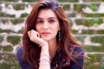 Chandigarh, Kriti Sanon, kriti sanon tested positive for covid 19, Actress kriti sanon