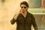 Guntur Kaaram latest updates, Guntur Kaaram, major changed for mahesh babu s guntur kaaram, Pooja hegde