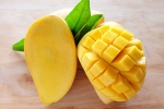 mangoes, mangoes containing chemicals, mouth watering mangoes may contain cancer causing chemicals, Eye damage