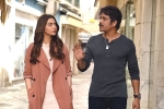 Manmadhudu 2 movie rating, Manmadhudu 2 Movie Tweets, manmadhudu 2 movie review rating story cast and crew, Manmadhudu 2