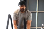 Chiranjeevi gym, Chiranjeevi next movie, megastar chiranjeevi is back to work, Stalin