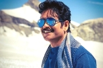 Nagarjuna new movie, Nagarjuna next film, nag in a bollywood remake, Manmadhudu 2