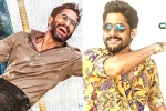 Naga Chaitanya new projects, Naga Chaitanya updates, naga chaitanya gearing up with two films, Kalyan krishna kurasala