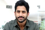Naga Chaitanya films, Naga Chaitanya, naga chaitanya coming up with a strong lineup of films, Soggade chinni nayana