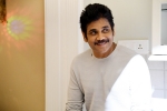 nagarjuna birthday, nagarjuna birthday wishes, nagarjuna turns 60 5 movies of forever young star you shouldn t miss, Manmadhudu 2