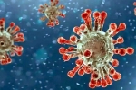 Covid-19, Covid-19, new china coronavirus variant traced in india, China covid 19