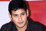 Mahesh Babu new movie, Mahesh Babu, no clarity on mahesh s next title, Sambha