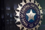 World Cup 2027, World Cup 2027, odi world cup 2027 probables decided by bcci, Royal challengers bengaluru