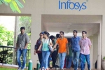 senior employees in infosys, senior employees in infosys, over 2 000 infosys employees earning more than rs 1 cr abroad, Noah consulting