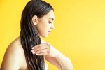 Overnight Hair Oiling bad, Overnight Hair Oiling bad, is overnight hair oiling right for you, Hair cut