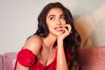 Pooja Hegde next film, Pooja Hegde upcoming movies, pooja hegde in talks for a biggie, Ssmb28